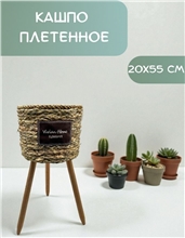 Кашпо TM122109 26х20х55см  Светлый